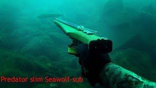 Primo Luccio con Predator slim Seawolf-sub