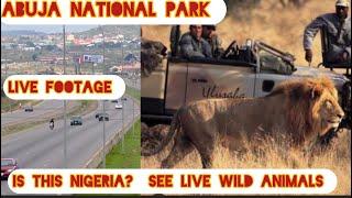 ABUJA NIGERIA TOP CITY TOUR SAFARI EXPO ABUJA NATIONAL PARK️ YOU WON’T BELIEVE THIS IS NIGERIA