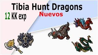 Tibia Hunt Dragons 12kk Cave Novo Hardcore