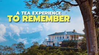 This Darjeeling Tea Estate Got Featured In 101 Best Hotels Of The World