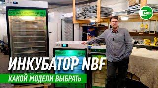 Какой инкубатор выбрать