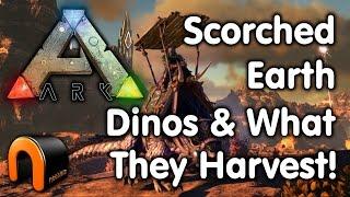 Ark SCORCHED EARTH FARMING DINOS & WHAT THEY HARVEST