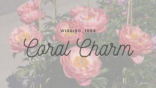 2022 Bloom Season - Coral Charm Wissing 1964