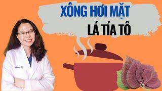 Cách xông hơi mặt đúng cách bằng lá tía tô tại nhà để trị mụn - làm sáng da - Bác sĩ Nguyên