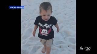 Gator Attack  Video of Toddler on Same Beach