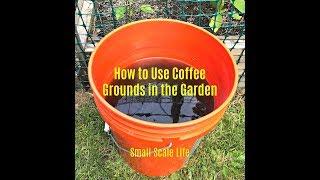 How to Use Coffee Grounds for Plants
