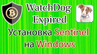 Watchdog Expired. Установка Sentinel для мастерноды на Windows