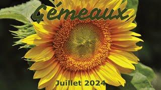 GEMEAUX - juillet 2024  La fin dun cycle