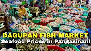 DAGUPAN FISH MARKET TOUR  Pangasinan’s Biggest Seafood Market Prices this August 2024  Philippines