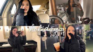 BDAY VLOG - turning 27 goals careers Christmas & more