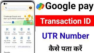 google pay utr number kaise nikale  gpay utr number kya hota hai google pay utr number kaise dekhe