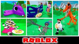 Roblox Hungry Games Hungry Pig Hungry DOORS Hungry Banban Hungry Sonic