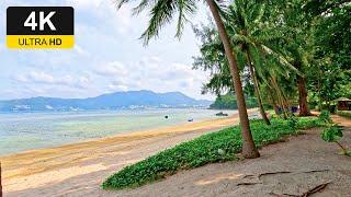 4K Tri Trang Beach Phuket - Quiet beach in Patong  Beach Tour in Thailand