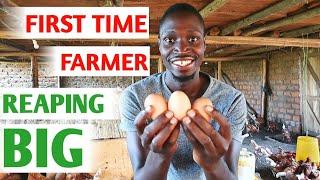 How I Started a Poultry Farm With Little Money and No Experience  My Success Story