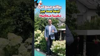  چرا هزینه می‌کنی⁉️ما برات تقریبا رایگان پذیرش و ویزا می‌گیریماپلای ام آی ای