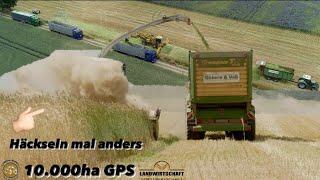 Häckseln mal anders...Großeinsatz 10.000ha GPS Osters&Voß mit 2 Jaguar 950 Silage mit Ropa verladen