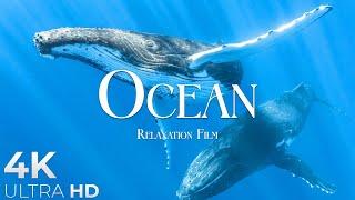 The Ocean 4K UltraHD- Relaxation Film - Peaceful Relaxing Music - 4k Video UltraHD