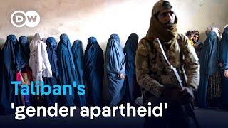 Better to agree to Taliban conditions for talks than not to talk at all?  DW News