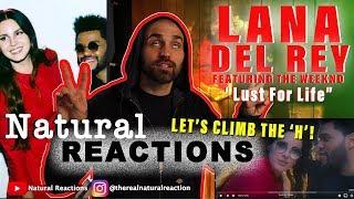 Lana Del Rey - Lust For Life ft. The Weeknd Official Music Video REACTION