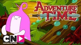 Adventure Time  Baby Princess Bubblegum  Cartoon Network