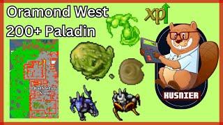 Oramond West  200+ Paladin  Tibia