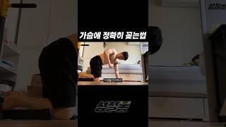 푸시업 가슴자극 1도 안올때 #shorts