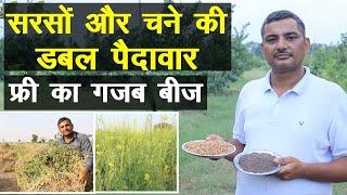 सरसों और चने की डबल पैदावार फ्री का बीज किसान ने कमाल कर दिया  Technical Farming 