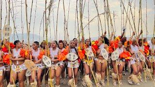 Umkhosi womhlanga 2022. The Zulu maidens reed dance at eNyokeni Royal Palace