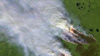 Low chance Siberia wildfires will be brought under control Greenpeace fire expert