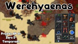 TIBIA RP 230+  HIENAS ANABÓLICAS  Werehyaenas Hunt  Projeto RP 2ª Temporada