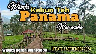 WISATA KEBUN TEH PANAMA WONOSOBOWISATA HITS WONOSOBO 2024