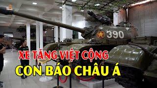 Xe Tăng Việt Cộng con báo Châu Á đã xuất hiện tam thập lục kế chỉ có kế chuồn là thượng sách #hnp