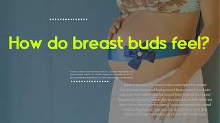 How do breast buds feel - At what age do breast buds appear