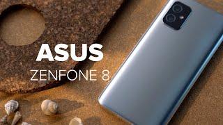 Asus Zenfone 8 im Test Die Rückkehr des handlichen Smartphones  deutsch