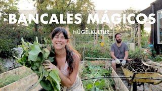 Casi sin tierra Bancales MAGICOS   Cómo se pronuncia #Hügelkultur ? 