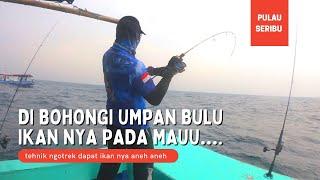 IKAN NYA DI BOHONGI PAKAI UMPAN BULU.. EDISI MANCING TEHNIK NGOTREK DI PULAU SERIBU