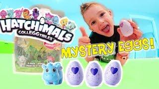 Father & Son HATCHIMALS SURPRISE  Mystery Egg Pack