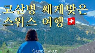 Swiss VLOG #1  융프라우에서 고산병 쎄게맞은 스위스 여행 브이로그  선스타 호텔 그린델발트  아이거 익스프레스  스위스패스  파리-스위스 떼제베 탑승기 