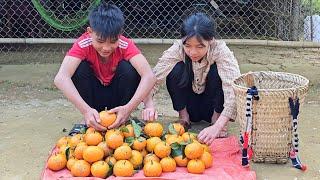 Two homeless children picked oranges to sell and picked wild vegetables to cook - Homeless Boy