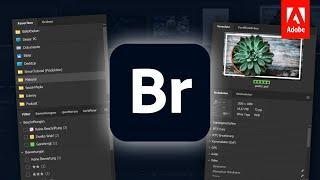 Adobe Bridge 2022 Basic course for beginners Easily manage your files