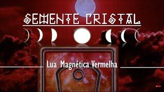 Lua Magnética Vermelha ° Semente Cristal ° Single Tzolkin