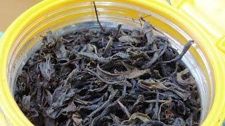 Koporsky  tea. Ivan tea  leaf classic black. Complete step by step recipe. Russian tea.