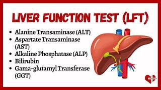 Liver Function Tests LFTs   liver function test interpretation  Animation  Multi-Languages 