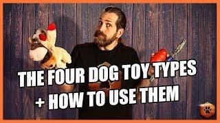 How to Use the 4 Types of Dog Toys RIGHT