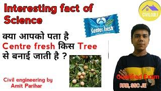 Center fresh कोन से Tree से बनाई जाती है? #shorts #sciencefacts #civilgoli