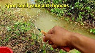 Mancing Ikan Wader di Spot Kecil Mengasikan