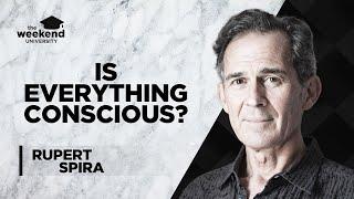 Non-duality and the Nature of Consciousness - Rupert Spira