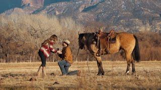 Marriage Proposal  A Horse A Diamond Ring and My Girl