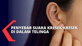 Penyebab dan Cara Mengatasi Suara Kresek-Kresek di Dalam Telinga