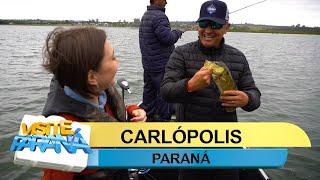 Visite Paraná Carlópolis